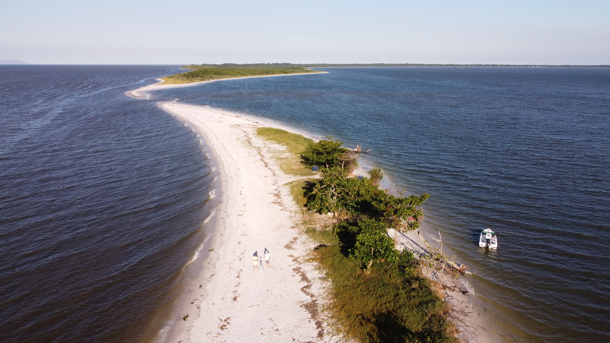 Restinga da Marambaia