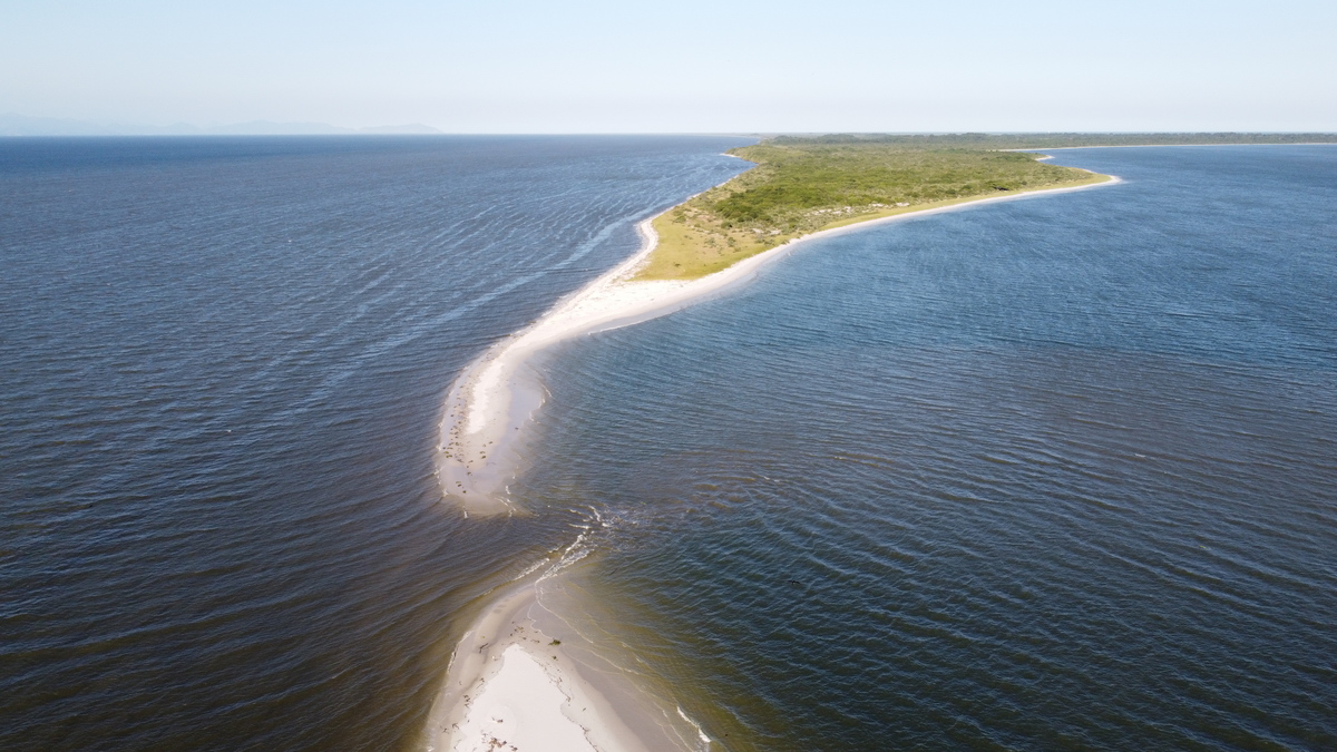 Restinga da Marambaia