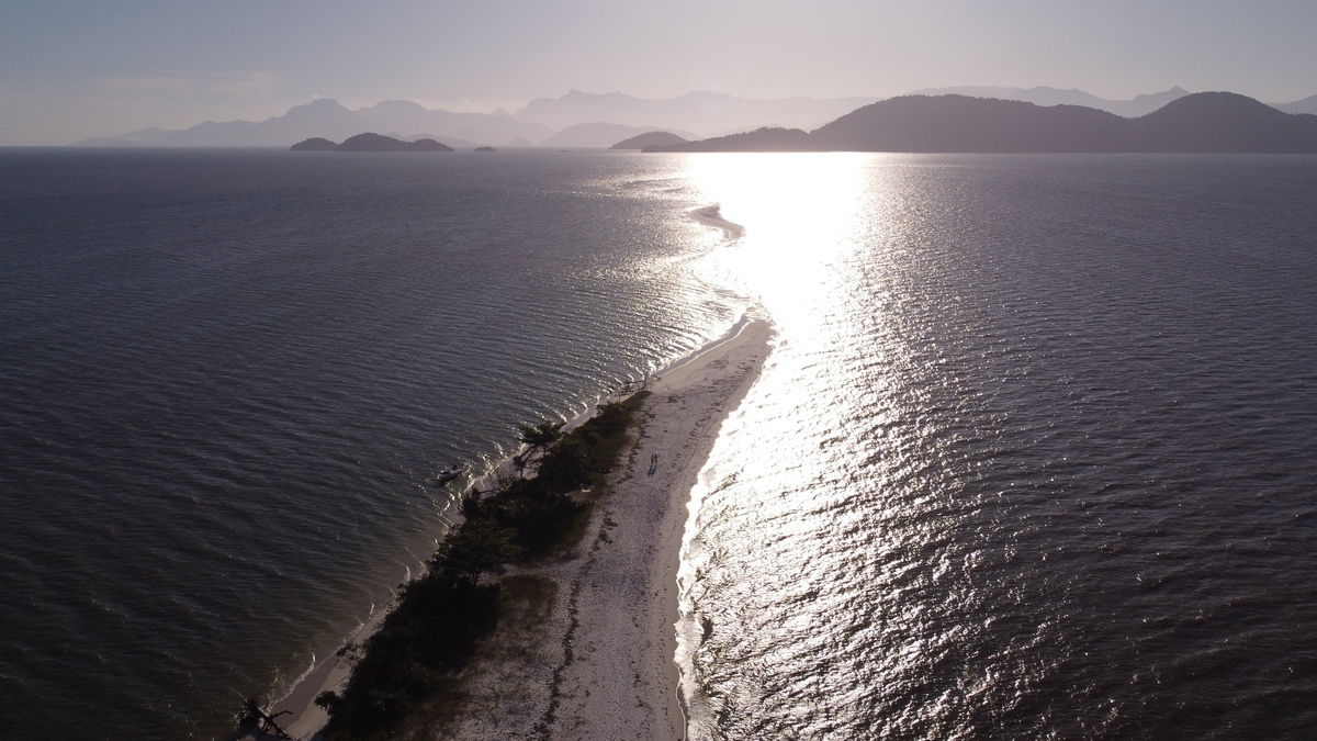 Restinga da Marambaia