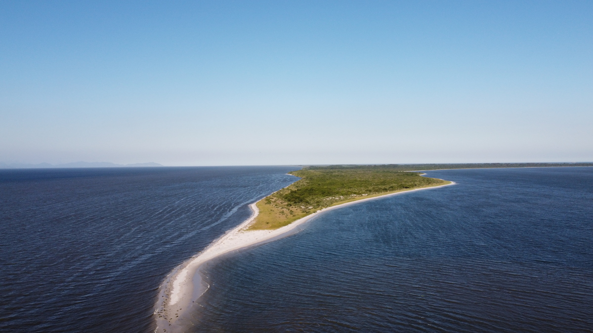 Restinga da Marambaia