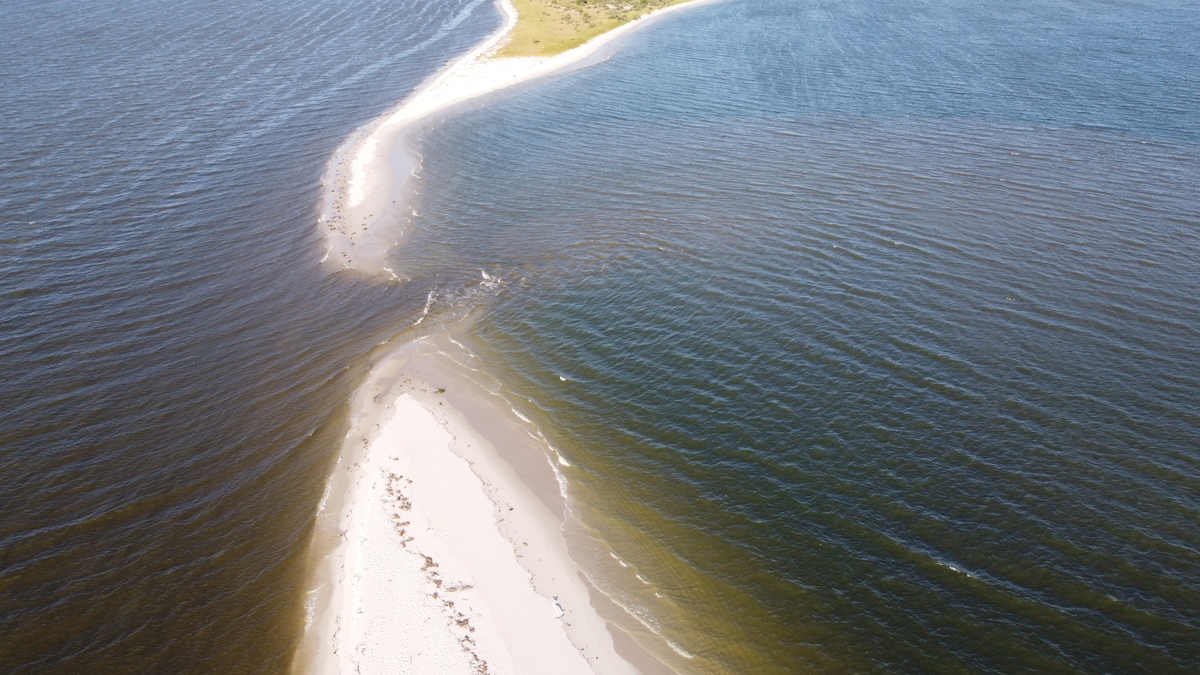 Restinga da Marambaia