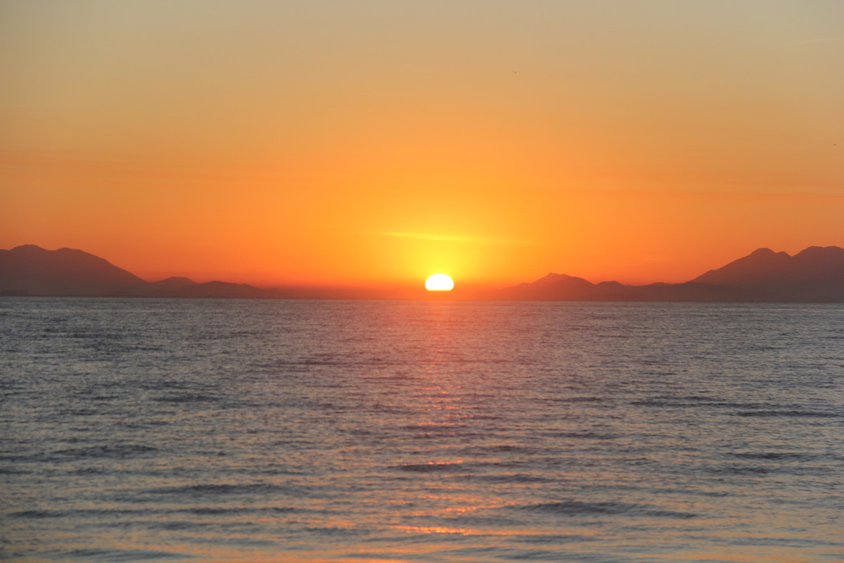 Restinga da Marambaia