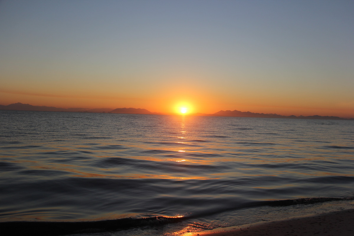 Restinga da Marambaia