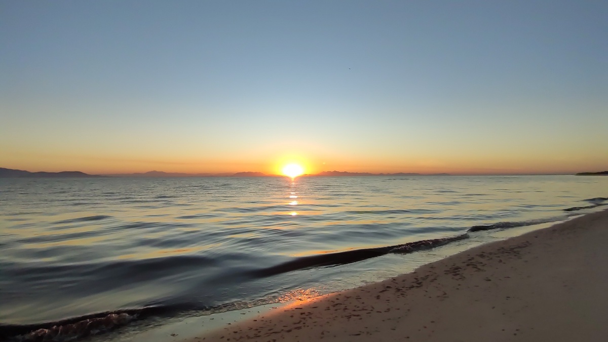 Restinga da Marambaia