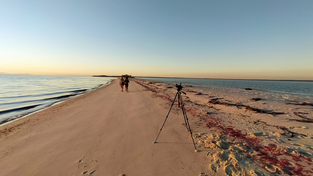 Restinga da Marambaia