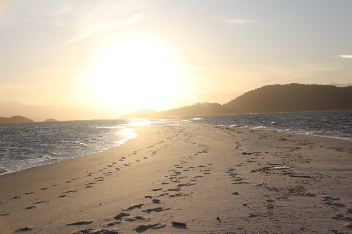 Restinga da Marambaia