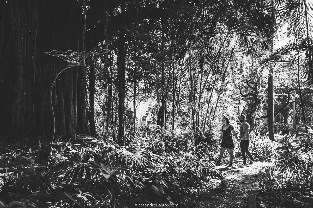 preto e branco lindo com os noivos em sessão de fotografia pré-wedding antes do casamento em bh andando pelo mato com árvores bem grandes