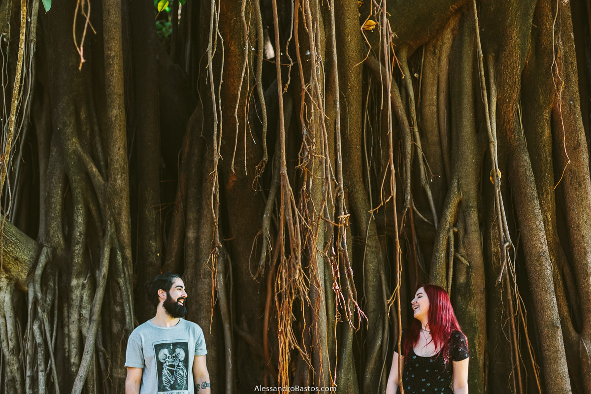 enormes raízes de uma árvore secular serve de fundo para os noivos em sessão de fotografia pré-wedding antes do casamento em bh no parque