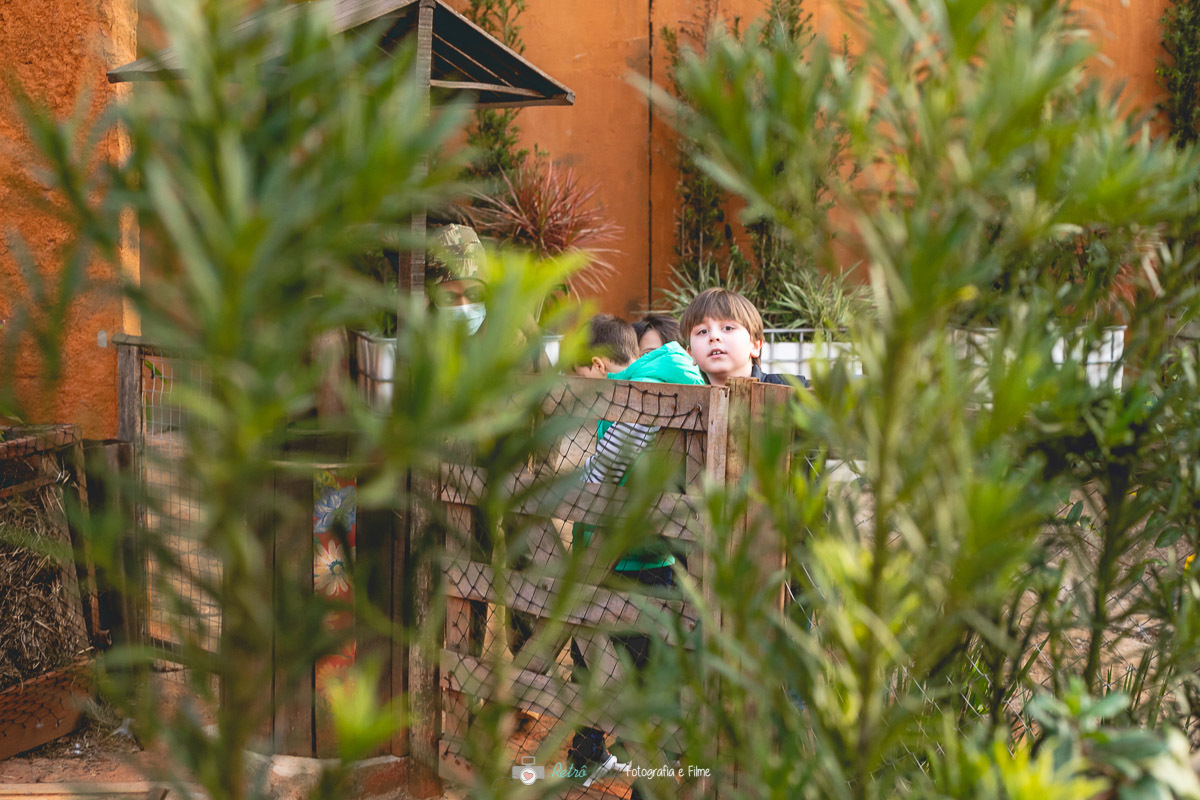 IDEIAS PARA FESTA INFANTIL 2022