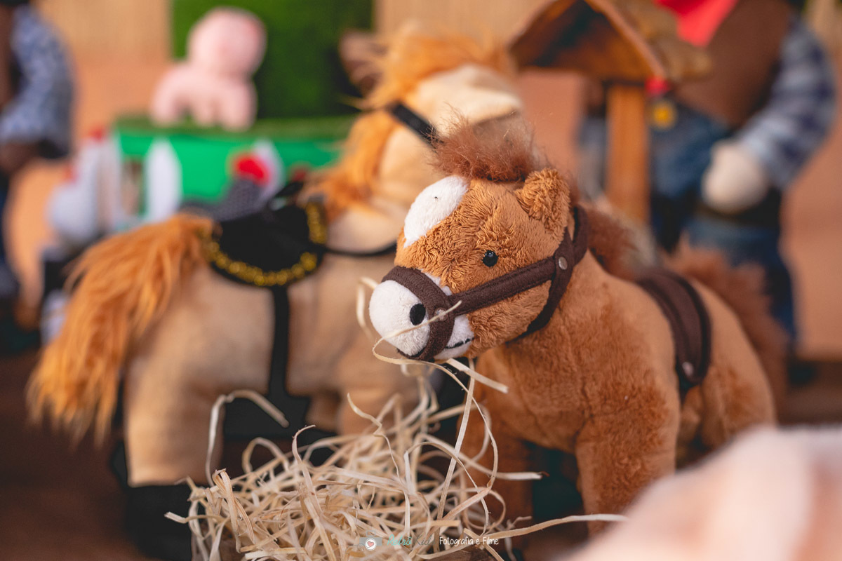 FESTA INFANTIL AO AR LIVRE