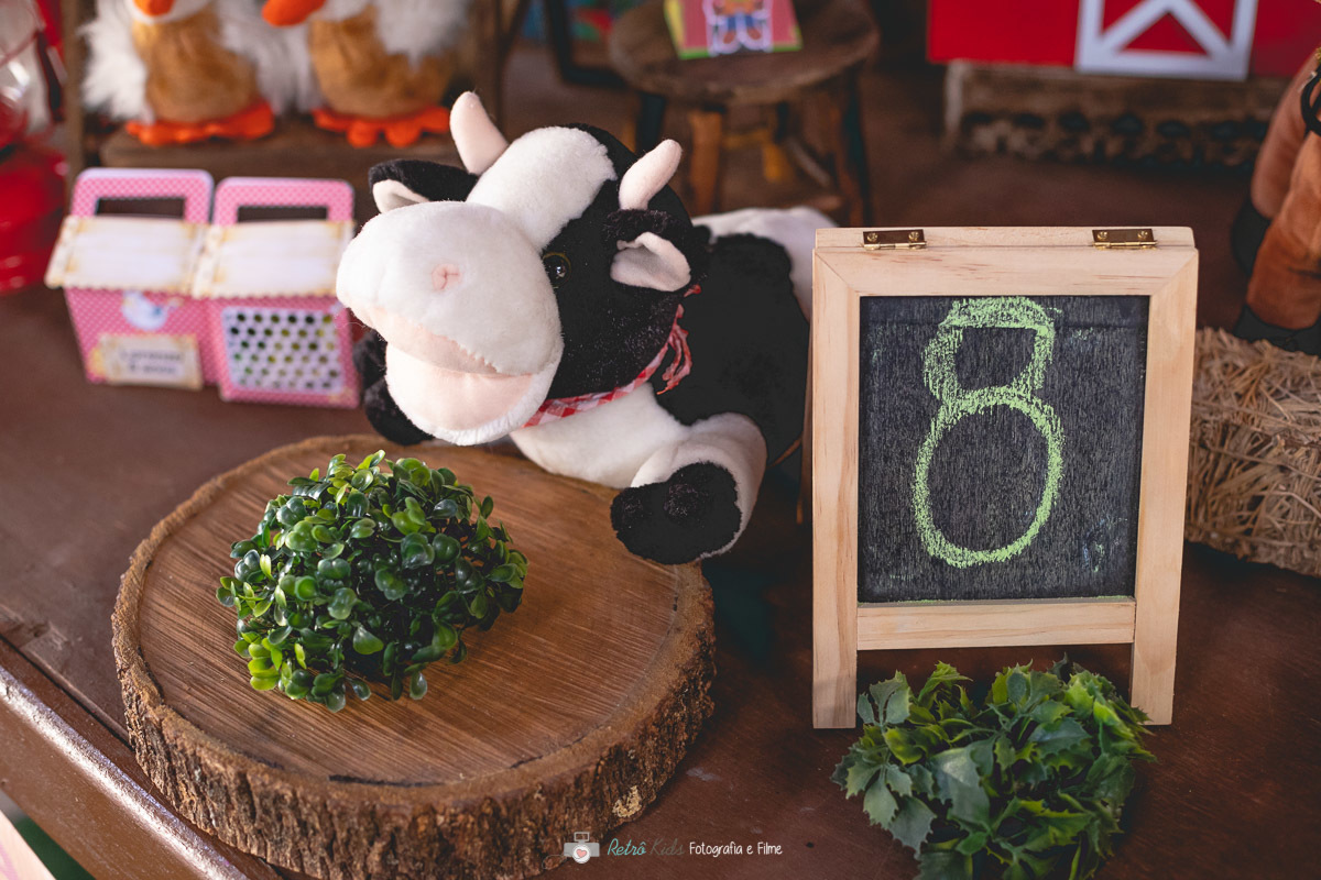 FESTA INFANTIL MENINO 8 ANOS