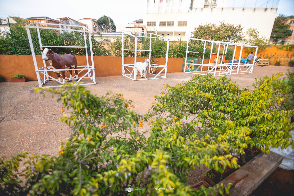 FOTOGRAFO DE FESTA INFANTIL