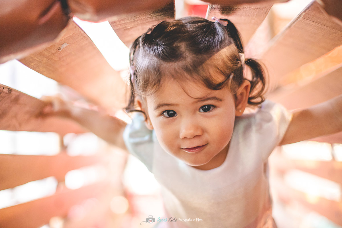 IDEIAS FESTA INFANTIL DE 2 ANOS