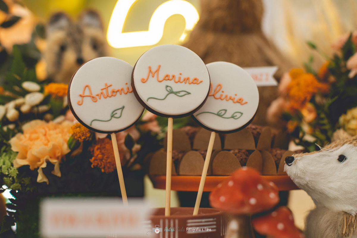 PERSONALIZADOS FESTA INFANTIL