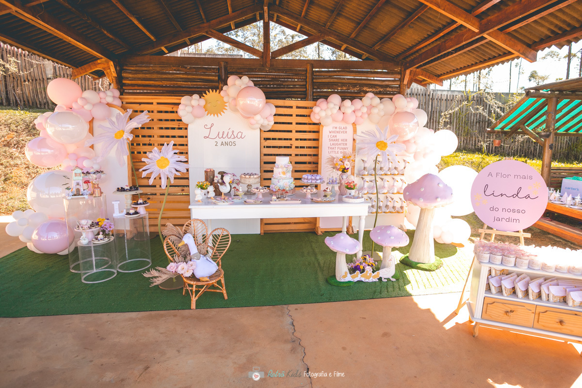 DECORAÇÃO FESTA INFANTIL FAZENDINHA PET ZOO