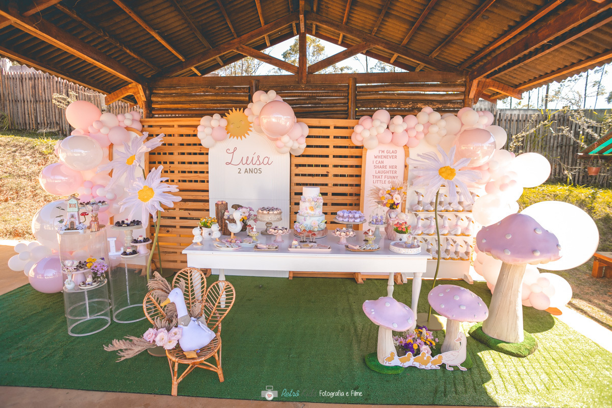 DECORAÇÃO COMPLETA NA FAZENDA PET ZOO EM COTIA SP
