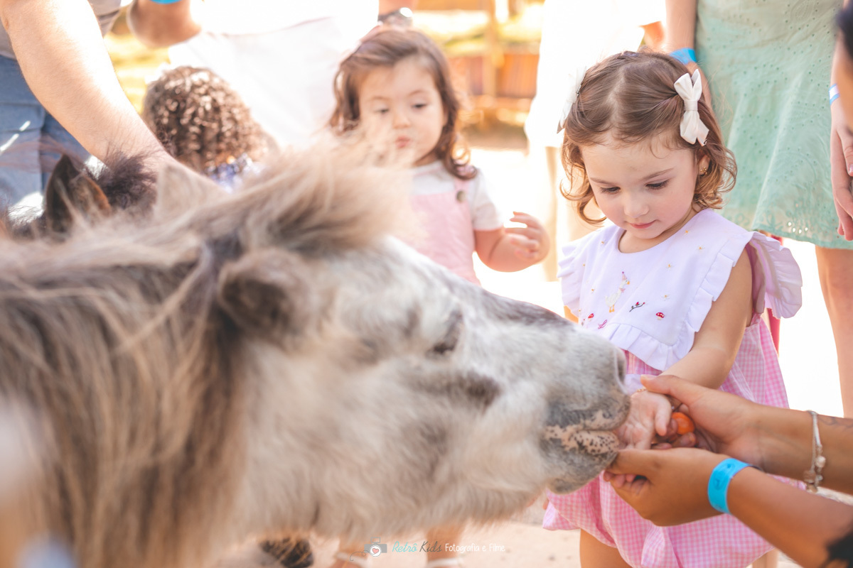 FESTA INFANTIL PET ZOO COTIA