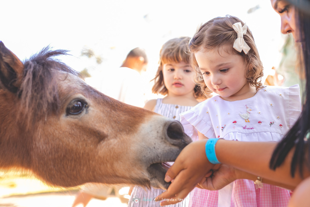 FOTOGRAFIA E VIDEO DE FESTA INFANTIL