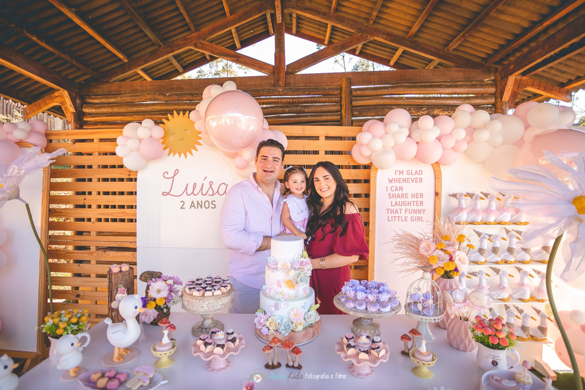 FESTA INFANTIL FAZENDA PETZOO COTIA SP