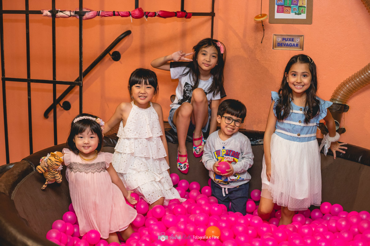 fotografia festa infantil 1 ano miniland PINHEIROS  