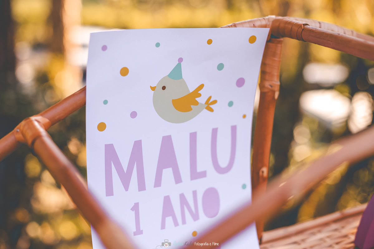 IDEIAS DE FESTA INFANTIL DE 1 ANINHO