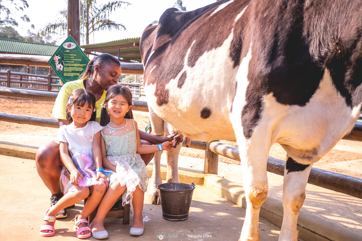 FOTOGRAFA FESTA INFANTIL EM SP