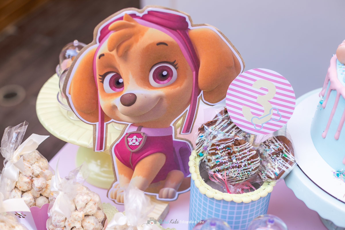 FESTA INFANTIL PERSONALIZADA DA PATRULHA CANINA