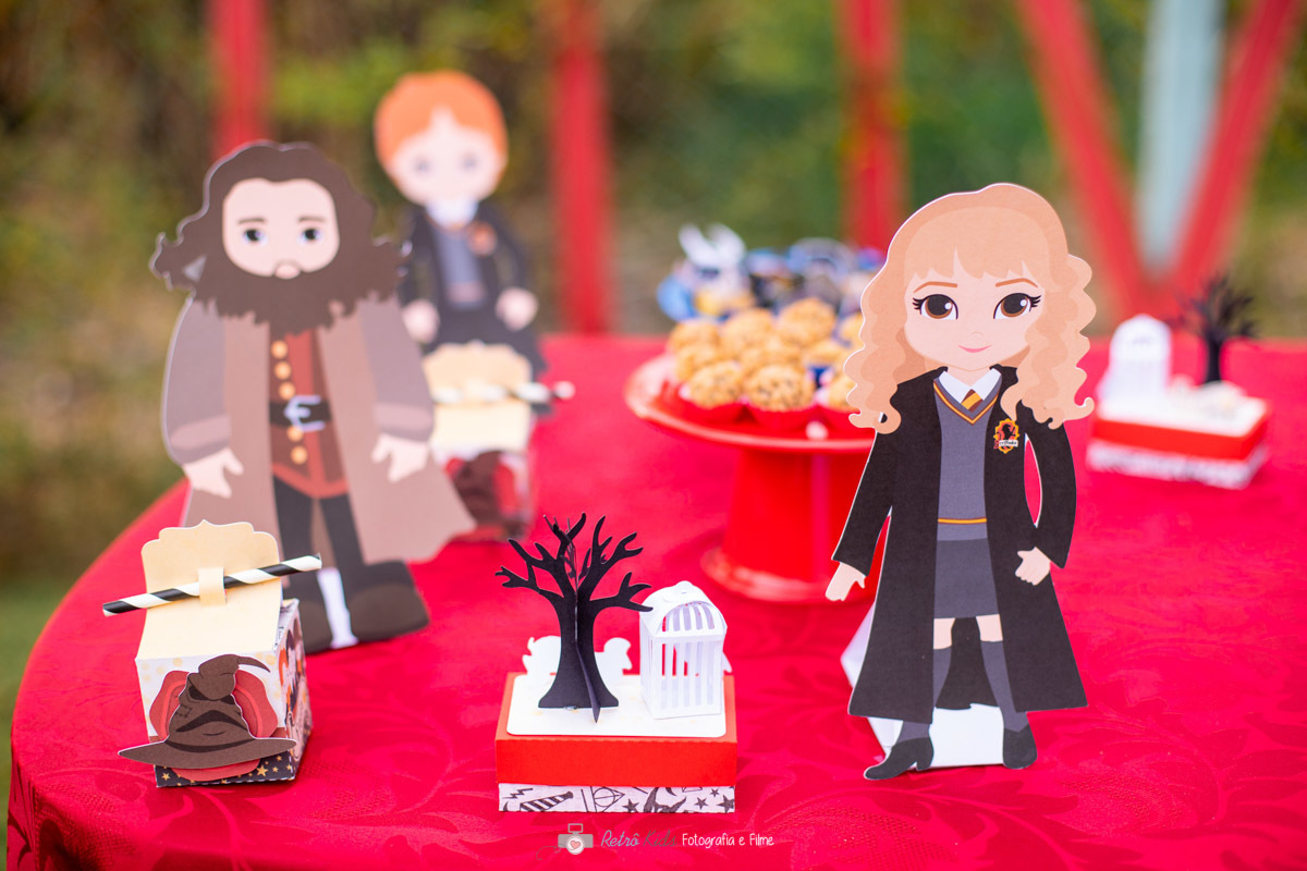 DECORAÇÃO INFANTIL HARRY POTTER