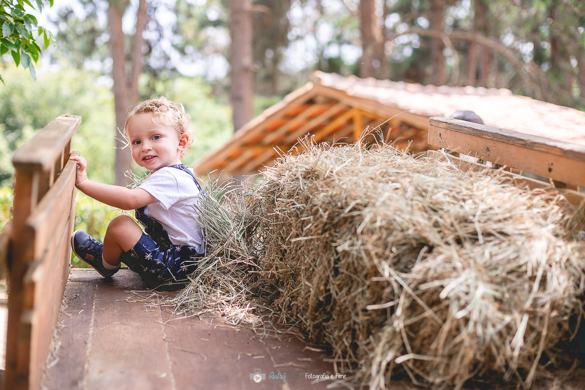 FOTOGRAFIA DE FESTA INFANTIL NO BICHO MANIA EM COTIA SP