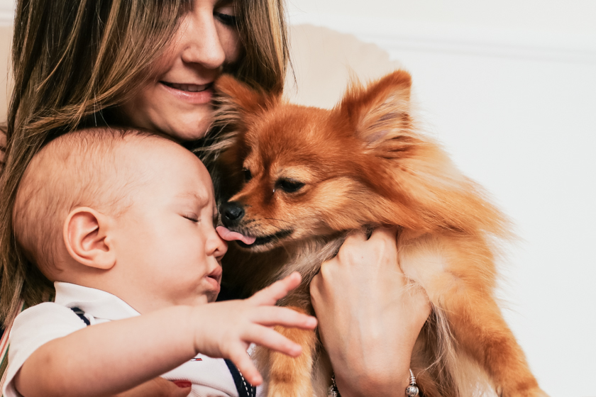 ensaio família cotidiano benicio priscila filipe camilakobata camila kobata amor paixão presente de Deus dog cachorro