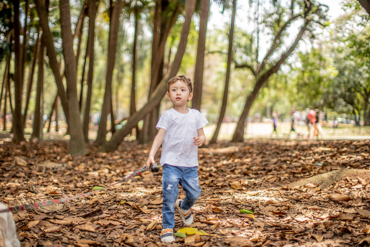 Parque do Ibirapuera - São Paulo - SP ensaio família Leonardo Camila Kobata