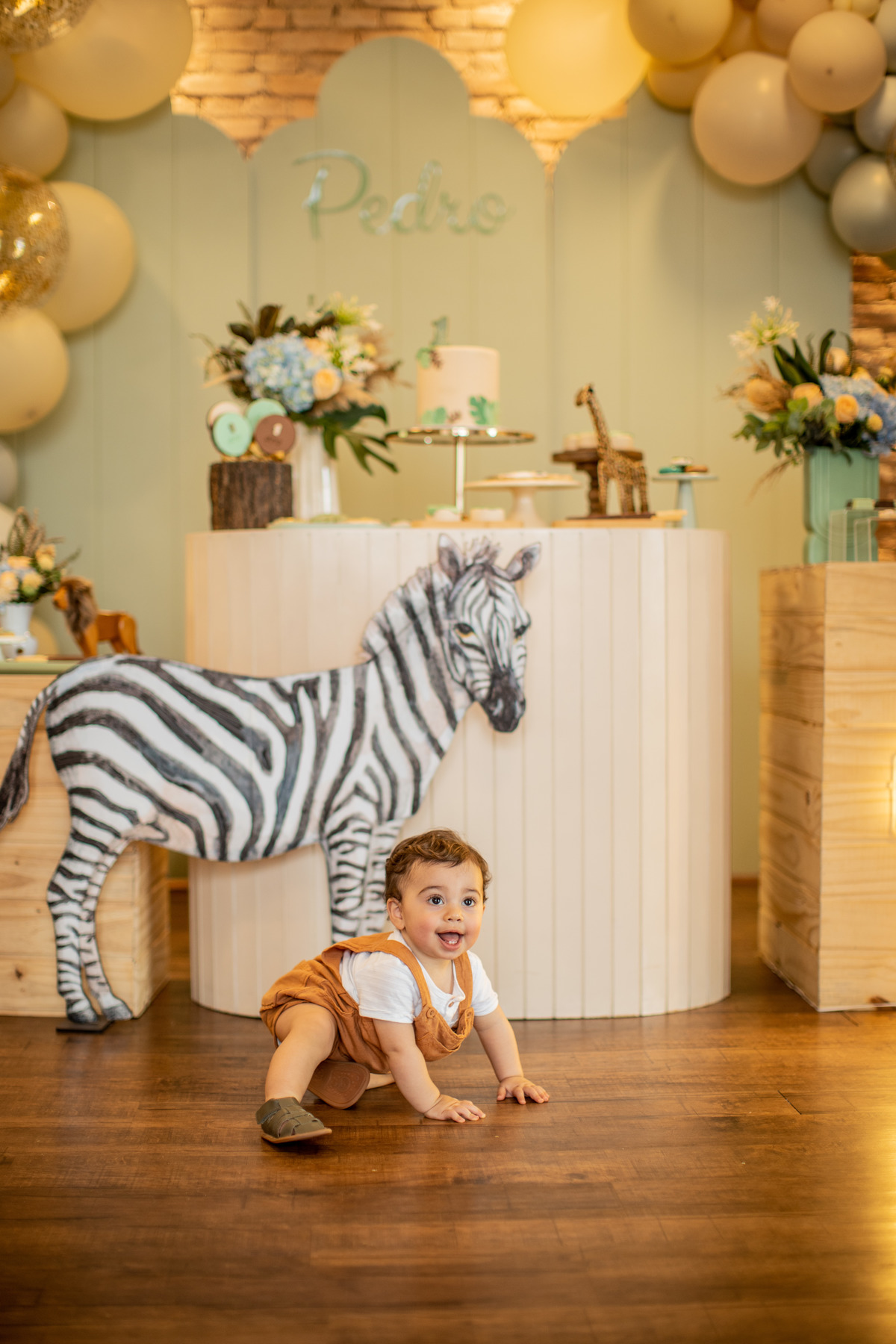 Quintal das Aroeiras - Santo André - SP Aniversário 1 ano Pedro