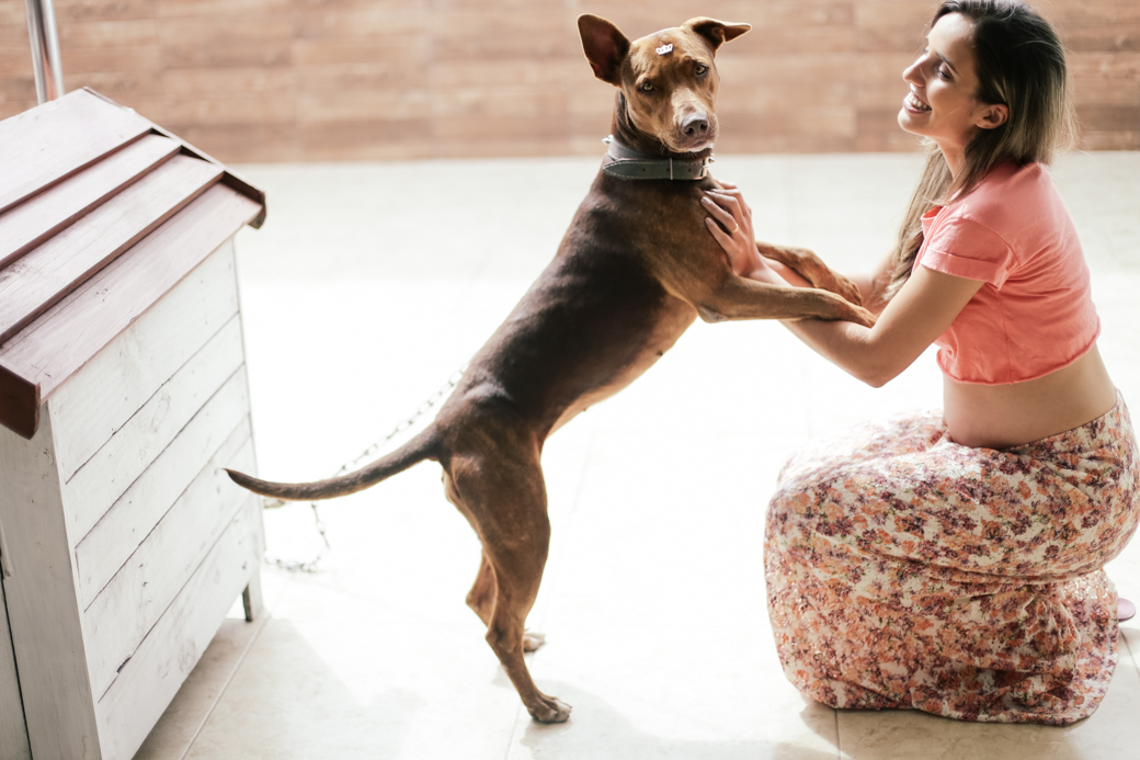 fotografia gestante gestação Xenia Asiel camila kobata camilakobata