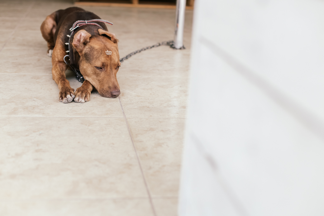 fotografia gestante gestação Xenia Asiel camila kobata camilakobata