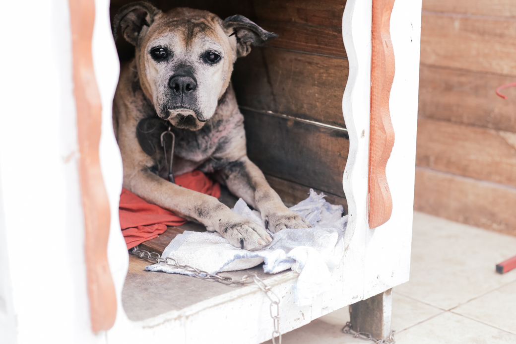fotografia gestante gestação Xenia Asiel camila kobata camilakobata