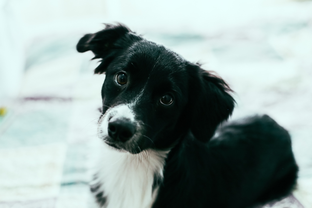 Gestação Mariana Felipe Gestante Gravida CamilaKobata Comunidade da Graça