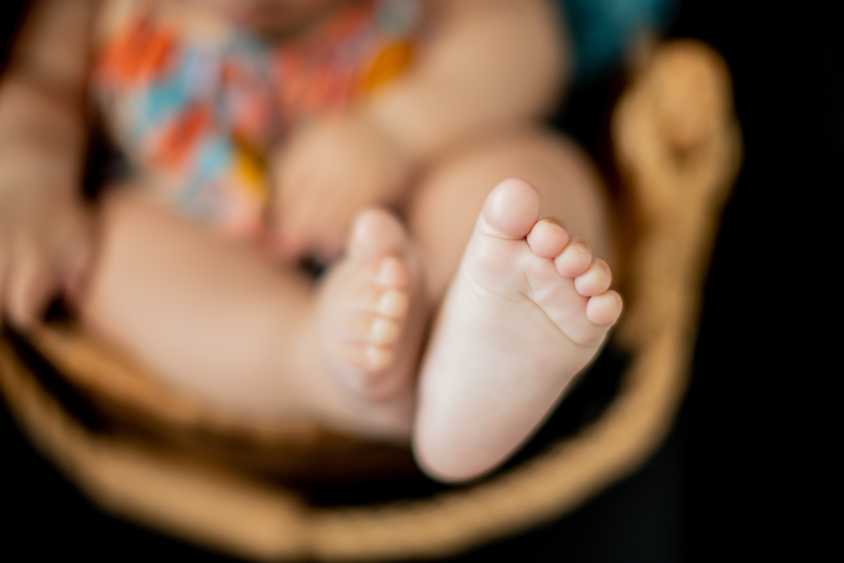 Acompanhamento Manu - 6 meses camila kobata