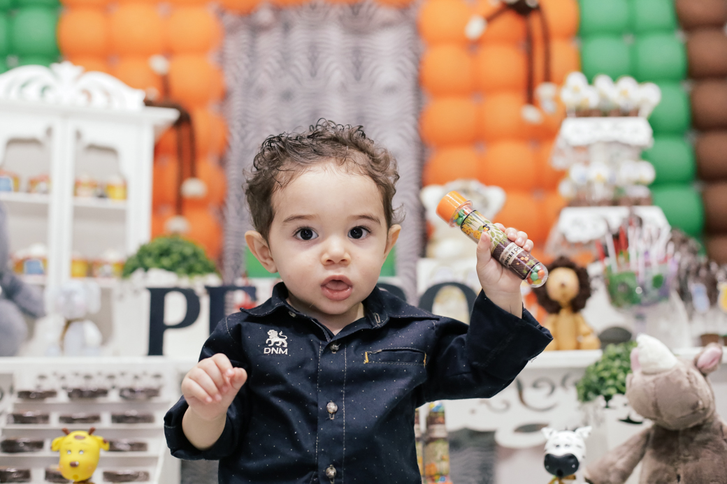 aniversário infantil kids criança 1 ano Pedro