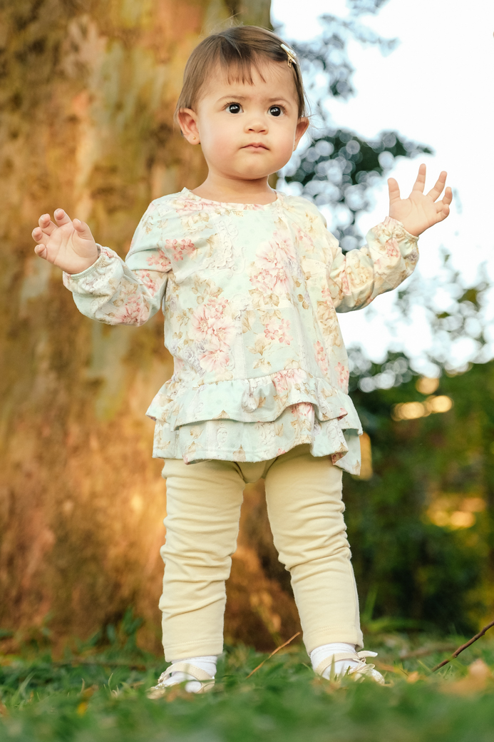 Aniversário 1 ano Mariana galinha pintadinha