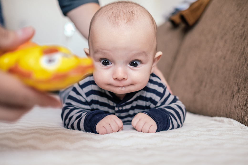 ensaio cotidiano Pedro Guilherme