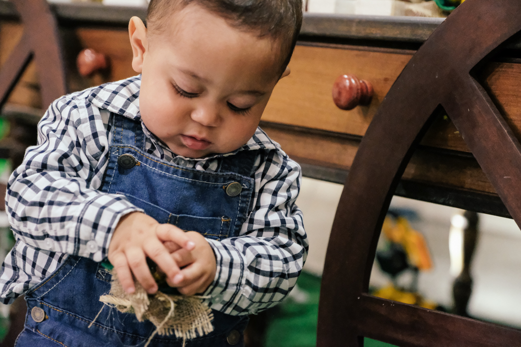 Lucca aniversario infantil fazendinha fotografia kids camila kobata