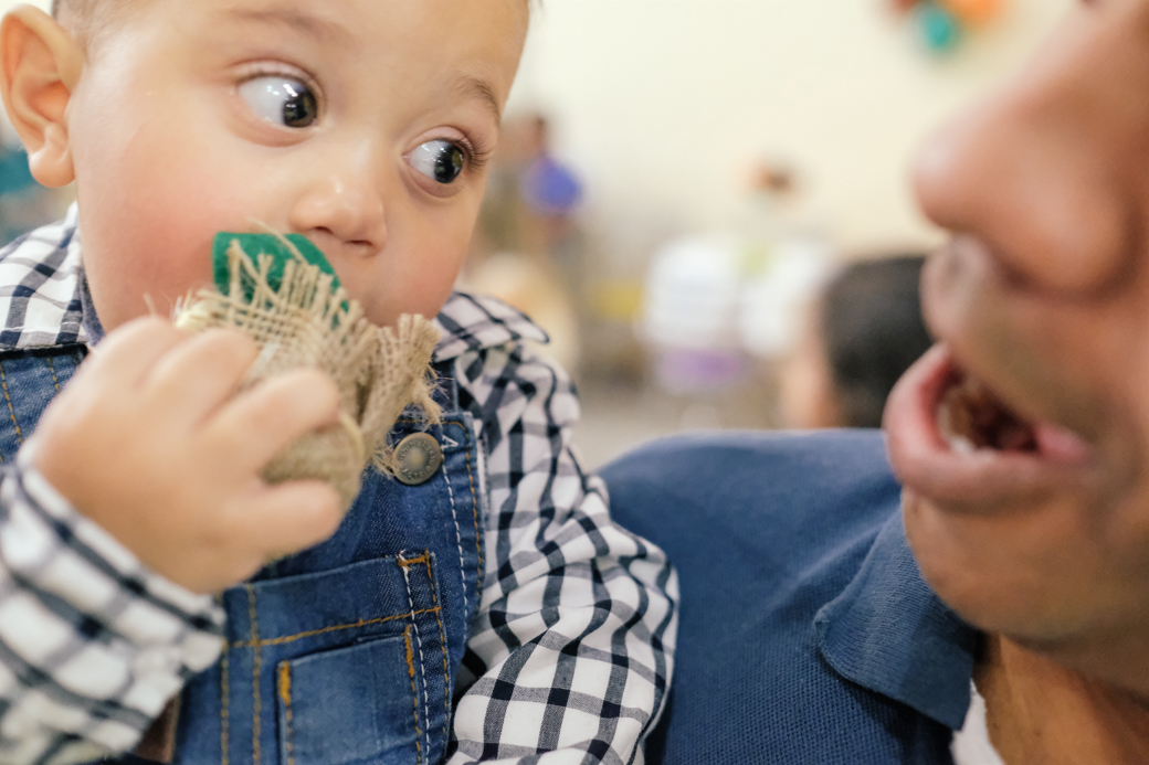 Lucca aniversario infantil fazendinha fotografia kids camila kobata