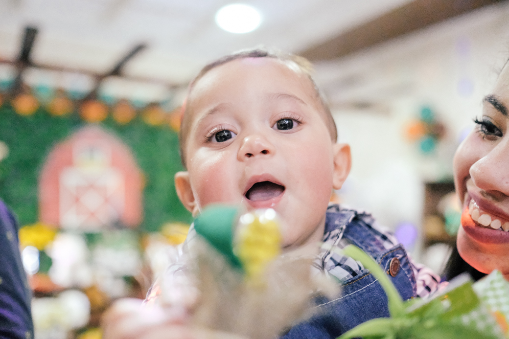 Lucca aniversario infantil fazendinha fotografia kids camila kobata