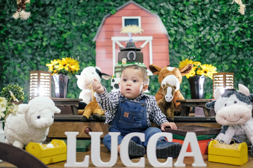 Lucca aniversario infantil fazendinha fotografia kids camila kobata