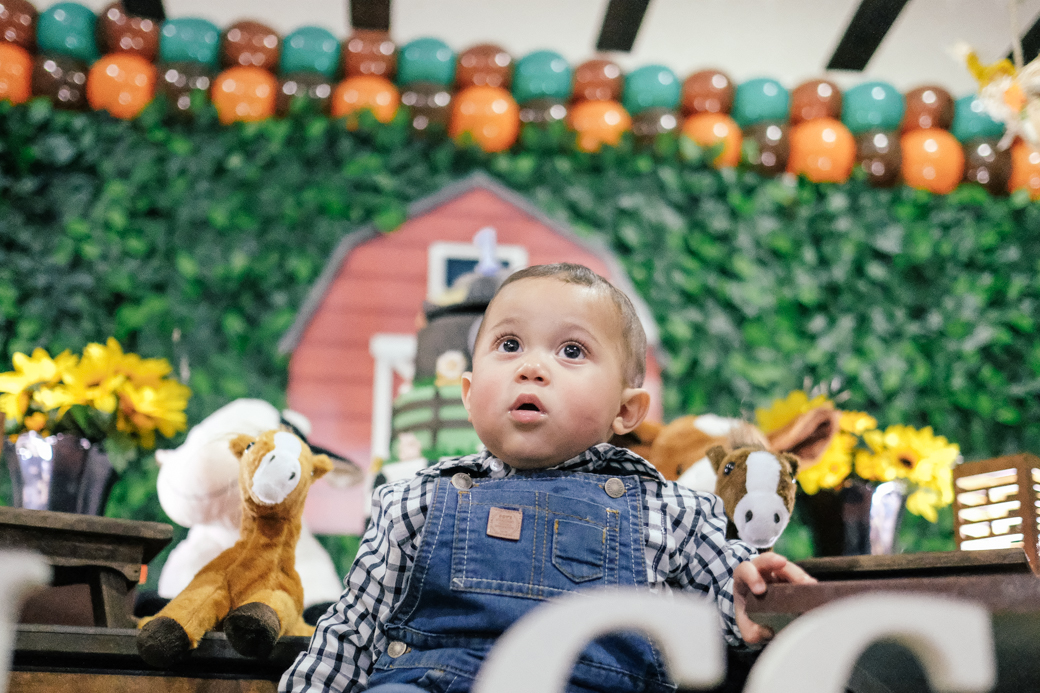 Lucca aniversario infantil fazendinha fotografia kids camila kobata