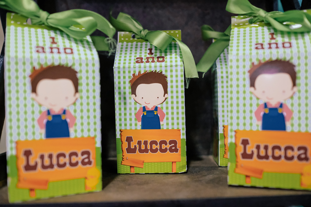 Lucca aniversario infantil fazendinha fotografia kids camila kobata