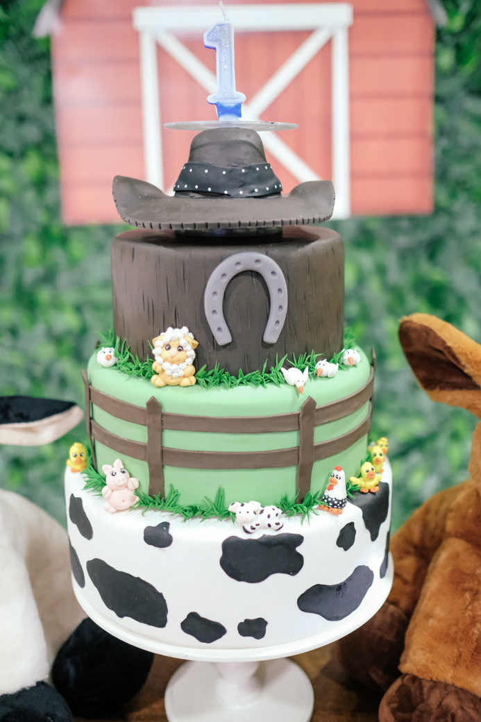 Lucca aniversario infantil fazendinha fotografia kids camila kobata