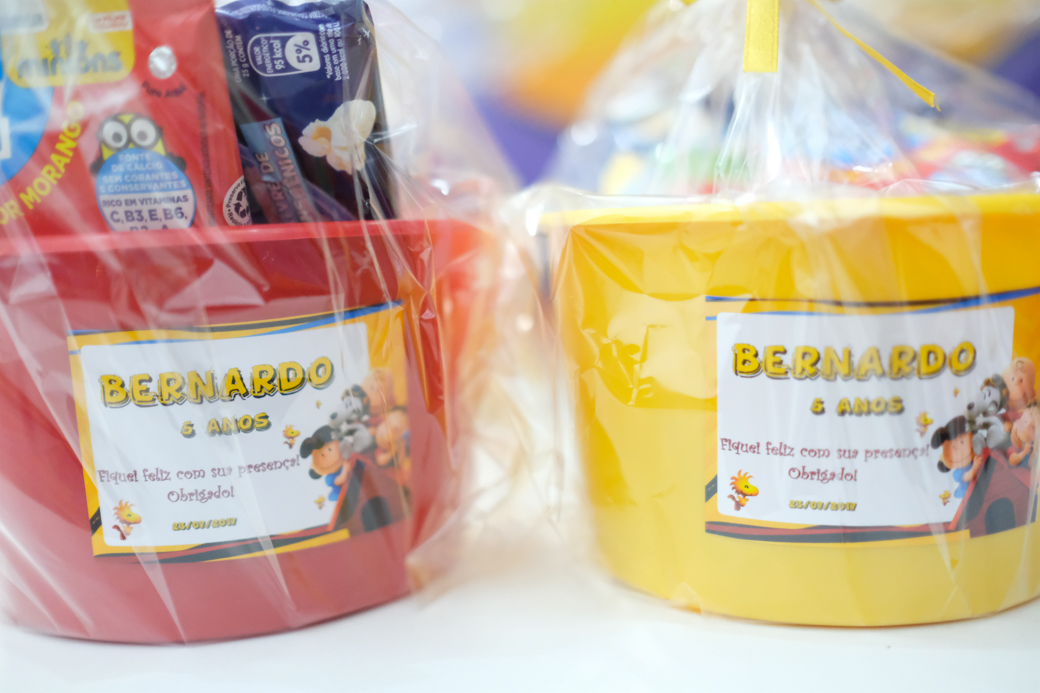 aniversario infantil fotografia camilakobata Buffet Be Happy Bernardo 5 anos guarulhos sao paulo