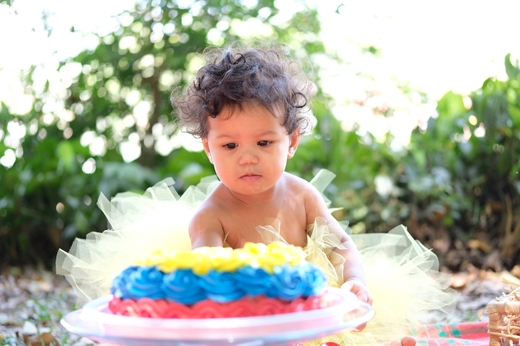 smash the cake sara bosque maia guarulhos familia