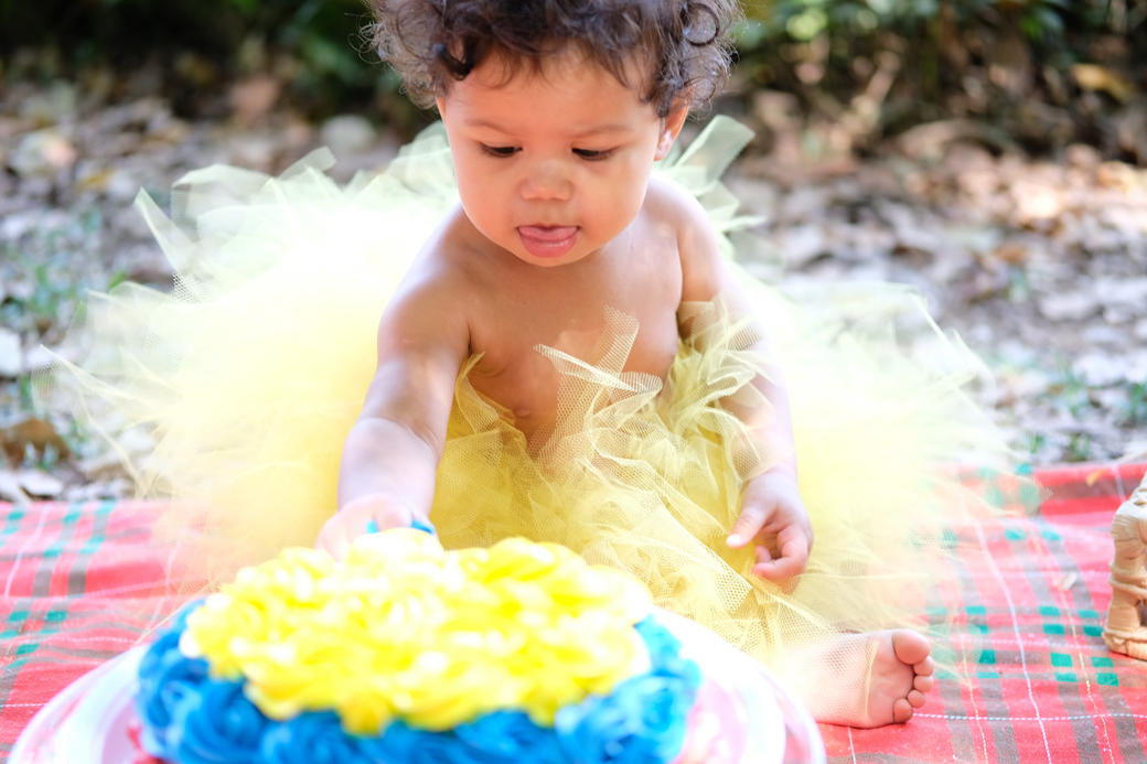 smash the cake sara bosque maia guarulhos familia